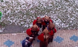 S-a zis cu colindătorii? În Mănăştur au dat năvală urşii în marş infernal de tobe