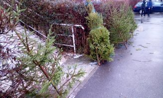 Brazi abandonați de Crăciun în zona Pieței Ion Mester
