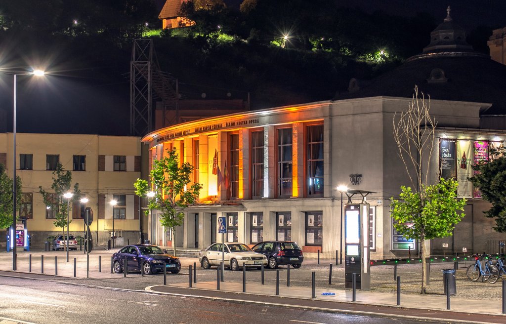 Au fost prinși hoții care au spart Teatrul Maghiar din Cluj. Unde i-au găsit polițiștii
