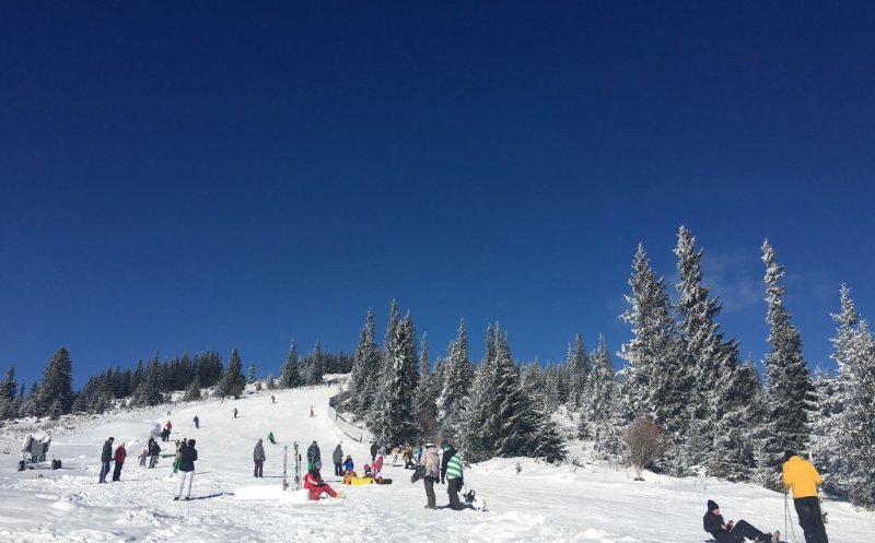 Ziua de Cluj | Cluj: Cursuri gratuite de schi pentru doritori, pe pârtia  Buscat din Băişoara