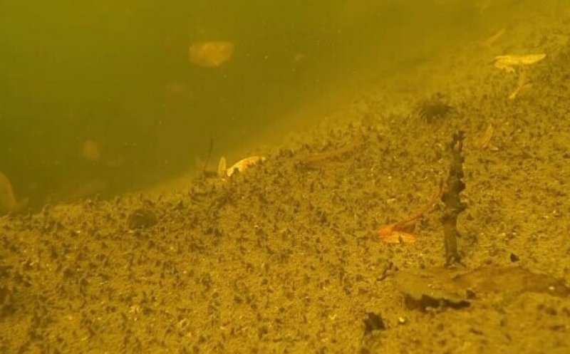 Un biofizician din Cluj explorează în premieră cel mai mare lac helioterm din lume. Descoperirile sunt uluitoare