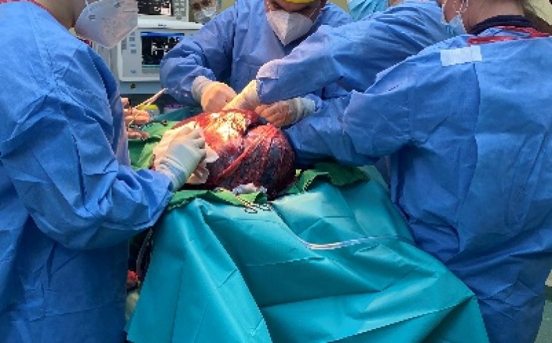 Premieră chirurgicală la USAMV Cluj: Tumoră de peste 12 kg extirpată la o cățelușă