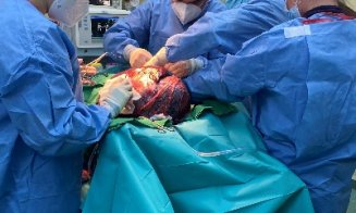 Premieră chirurgicală la USAMV Cluj: Tumoră de peste 12kg extirpată la o cățeluță