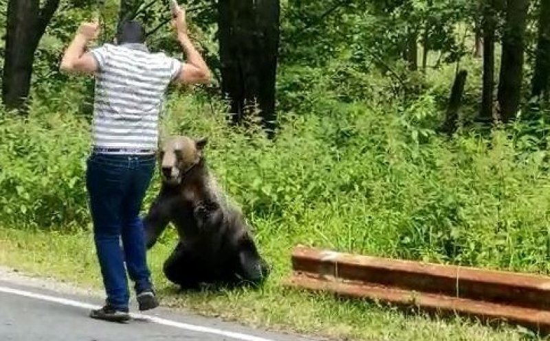 "Selfie-ul perfect": Sute de oameni au murit pentru obsesia celebrităţii pe internet