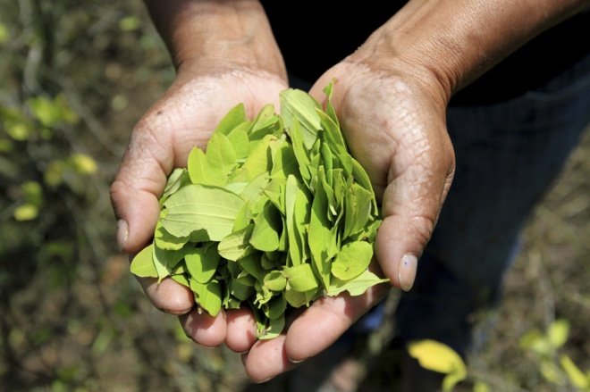 Ce a decis Înalta Curte  cu privire la infracţiunea de introducere de droguri în ţară în dosarul unui pictor din Cluj care a venit cu 36 de grame de frunze de coca în bagaj