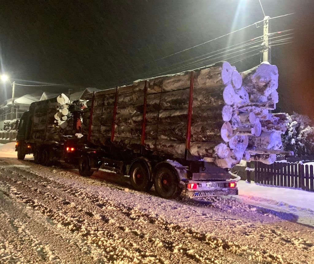 Șeful Gărzii Forestiere Cluj despre fenomenul tăierilor ILEGALE de arbori: NU va fi eradicat