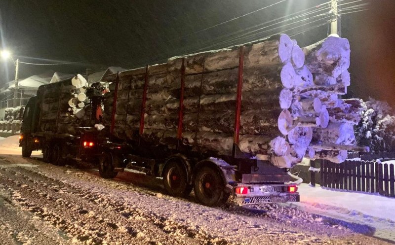 Șeful Gărzii Forestiere Cluj despre fenomenul tăierilor ILEGALE de arbori: NU va fi eradicat
