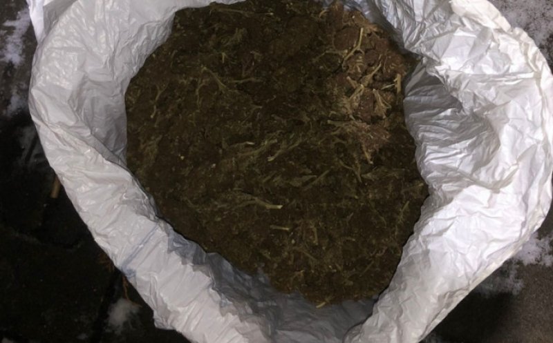 2 tineri din Cluj au încercat să vândă 1,5 kilograme de canabis