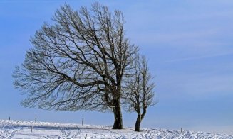 METEO: Cod galben de vânt puternic în judeţul Cluj. Rafale de până la 65 km/h