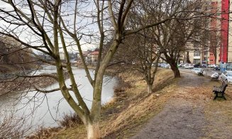 "NU vrem copaci tăiați inutil!". Civicii așteaptă răspuns de la Boc pentru lucrările de pe Someș
