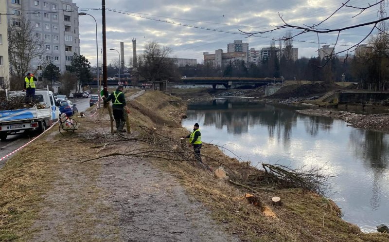 "NU vrem copaci tăiați inutil!". Civicii așteaptă răspuns de la Boc pentru lucrările de pe Someș