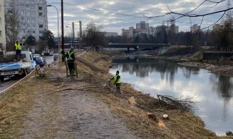 "NU vrem copaci tăiați inutil!". Civicii așteaptă răspuns de la Boc pentru lucrările de pe Someș