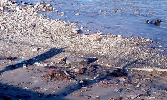 Încă un efort şi scăpăm de toate saltelele, anvelopele, pungile şi de toţi papucii de pe Someş. Ce spuneţi?