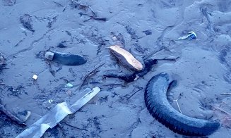 Încă un efort şi scăpăm de toate saltelele, anvelopele, pungile şi de toţi papucii de pe Someş. Ce spuneţi?