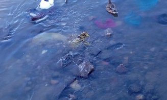Încă un efort şi scăpăm de toate saltelele, anvelopele, pungile şi de toţi papucii de pe Someş. Ce spuneţi?