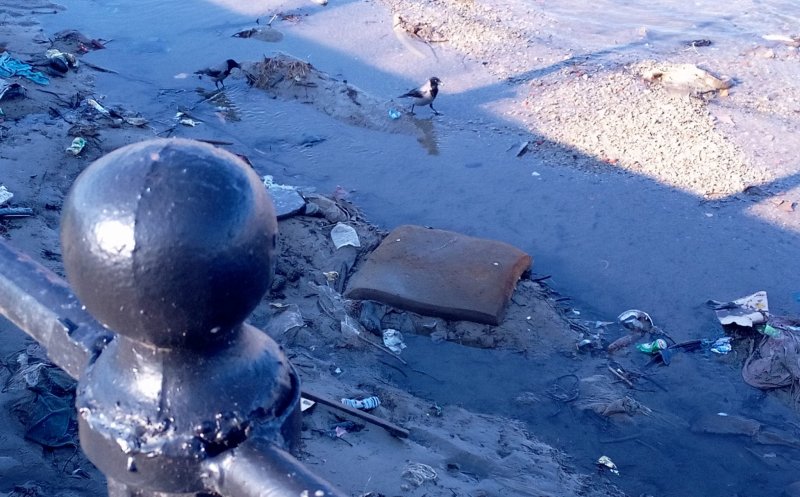 Încă un efort şi scăpăm de toate saltelele, anvelopele, pungile şi de toţi papucii de pe Someş. Ce spuneţi?