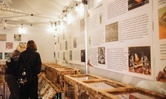 „Giganți” din lumea păianjenilor pot fi admirați la Iulius Mall Cluj în cadrul expoziției The Taranterra Project