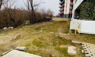 Scrisoare către Boc: „Ce mi-aș dori eu ca este ca dv. să vedeți puțin dincolo de autobuze electrice și domeniul IT”