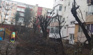 Au început "mutilările de primăvară" a spaţiilor verzi din Cluj-Napoca
