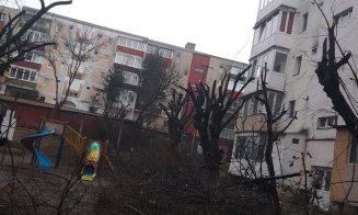 Au început "mutilările de primăvară" a spaţiilor verzi din Cluj-Napoca