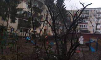 Au început "mutilările de primăvară" a spaţiilor verzi din Cluj-Napoca