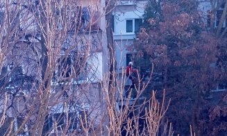 Au început "mutilările de primăvară" a spaţiilor verzi din Cluj-Napoca