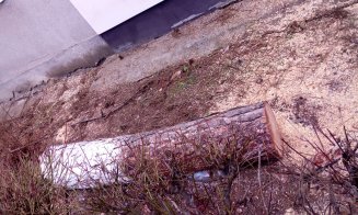 Au început "mutilările de primăvară" a spaţiilor verzi din Cluj-Napoca