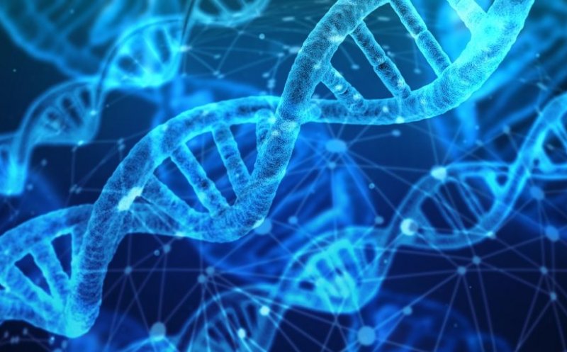 Neanderthalienii ar fi "de vină" pentru faptul că unele persoane dezvoltă COVID sever