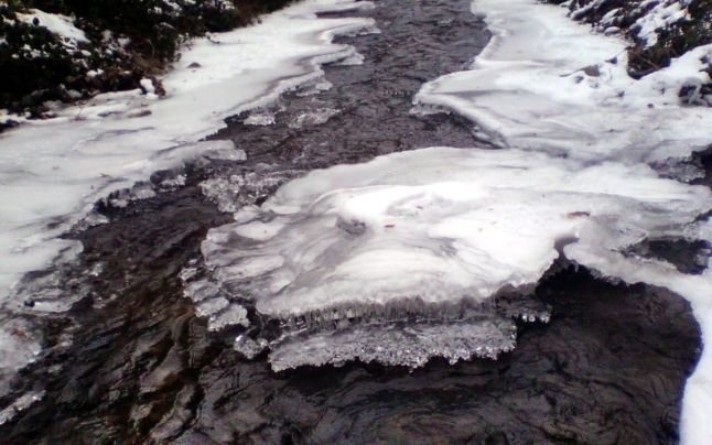 4 ucraineni au trecut ilegal granița în România prin apele înghețate ale râului Tisa