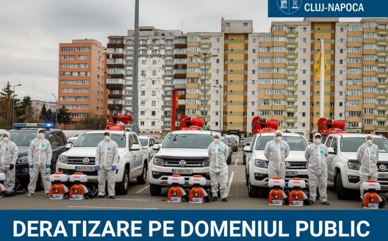 Deratizare pe domeniul public