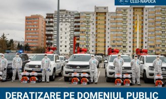 Deratizare pe domeniul public