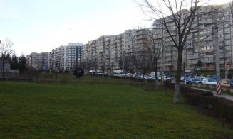 Peste 33 milioane lei pentru 400 de arbori noi, shared space pe anumite străzi, machetă 3D cu Mănăşturul