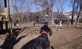 Parc de joacă special pentru căței, amenajat în Grigorescu. Boc: Luăm în calcul astfel de spații și în celelalte cartiere