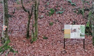 Drum de weekend | Traseu turistic nou în Apuseni. Este accesibil în orice perioadă a anului