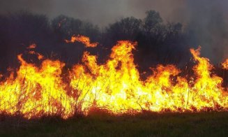 A MURIT CARBONIZAT, în urma unui incendiu de vegetaţie. Soţia e la spital cu arsuri, după ce a încercat să îl salveze