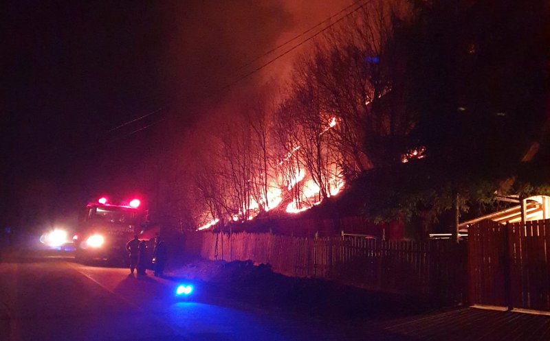 Incendiul de pădure de la Băișoara. Misiune dificilă pentru pompieri