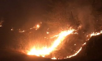 Incendiul de la Băișoara încă nu a fost stins! Pompierii continuă să lupte cu focul