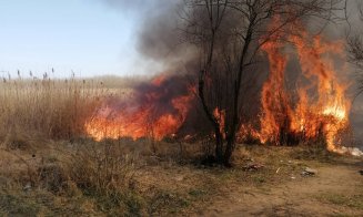 Foc puternic în Gheorgheni. A luat foc vegetația uscată din zona lacurilor