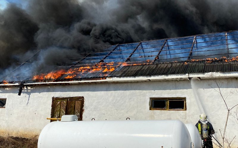 Pericol de explozie la Cluj! Incendiu puternic lângă două rezervoare pline cu gaz