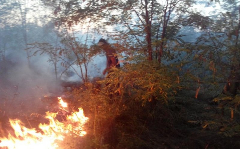 Amenzi mai mari pentru incendiile de vegetație: până la 15.000 lei pers fizice și 100.000 lei pers juridice