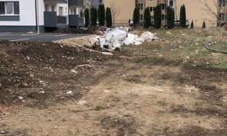 Bogdan Pivariu pune piciorul în prag: „Toleranță zero pentru transportul și depozitarea deșeurilor în mod ilegal pe raza Floreștiului”