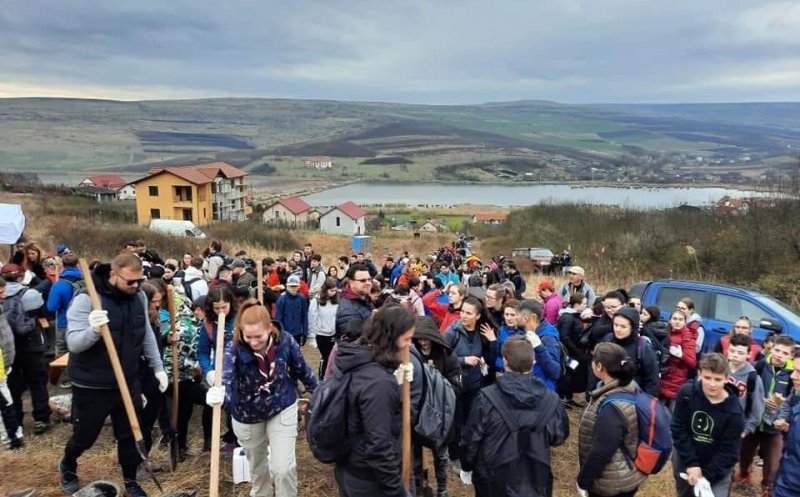 "Plantăm la Câmpenești" -  pădure veche, care a ars acum 10 ani, readusă la viață de peste 400 de voluntari