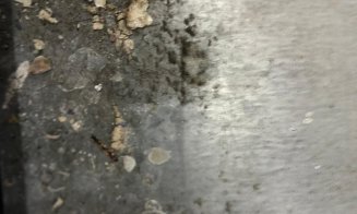 Mizerie, marfă expirată și produse cu ingrediente interzise, găsite în urma unor controlate ANPC la Cluj