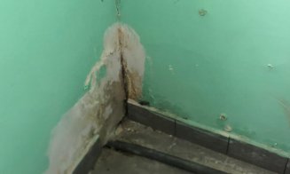 Mizerie, marfă expirată și produse cu ingrediente interzise, găsite în urma unor controlate ANPC la Cluj