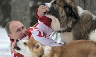 Conturi clonate și pagini false de Facebook pentru a aduna fani în galeria lui Vladimir Putin