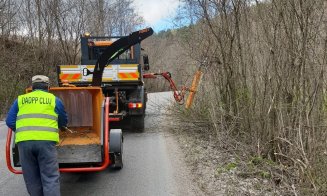 Se face curățenie pe marginea drumurilor județene din Cluj