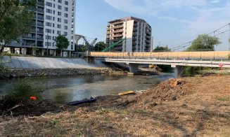 În mai (re)încep lucrările la Podul Porțelanului