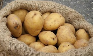 Cultivatorii de cartofi vor putea primi în acest an un sprijin financiar de 200 de euro/ha
