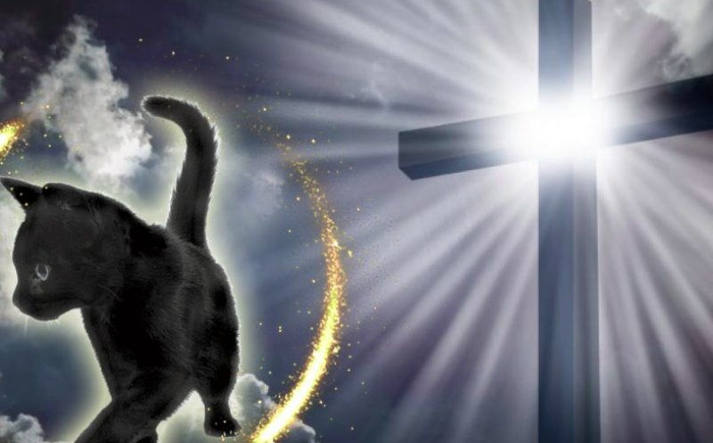 Cum să alungi ghinionul în Săptămâna Luminată. Trebuie să renunți la câteva obiceiuri