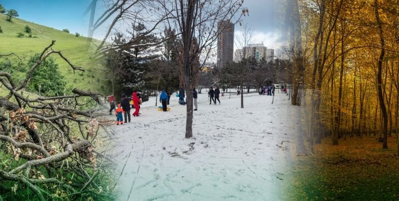 ''NU distrugeți natura cu centura''. PETIȚIE pentru protejarea PĂDURILOR Hoia și Făget